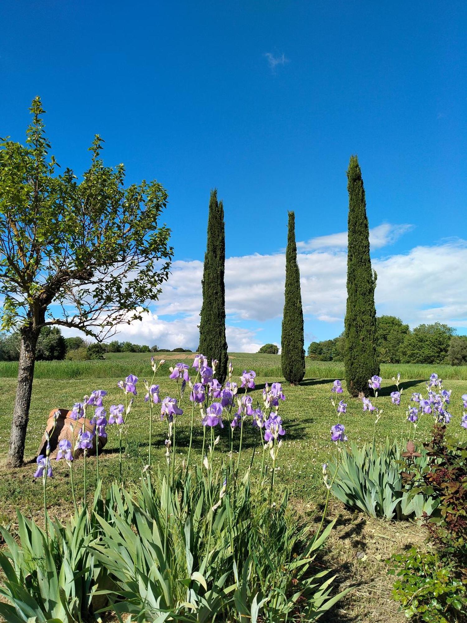 Villa Nobile Cortona Family Apartments Zewnętrze zdjęcie
